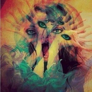 Meet your Posher, Hayden